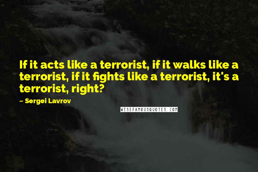 Sergei Lavrov Quotes: If it acts like a terrorist, if it walks like a terrorist, if it fights like a terrorist, it's a terrorist, right?