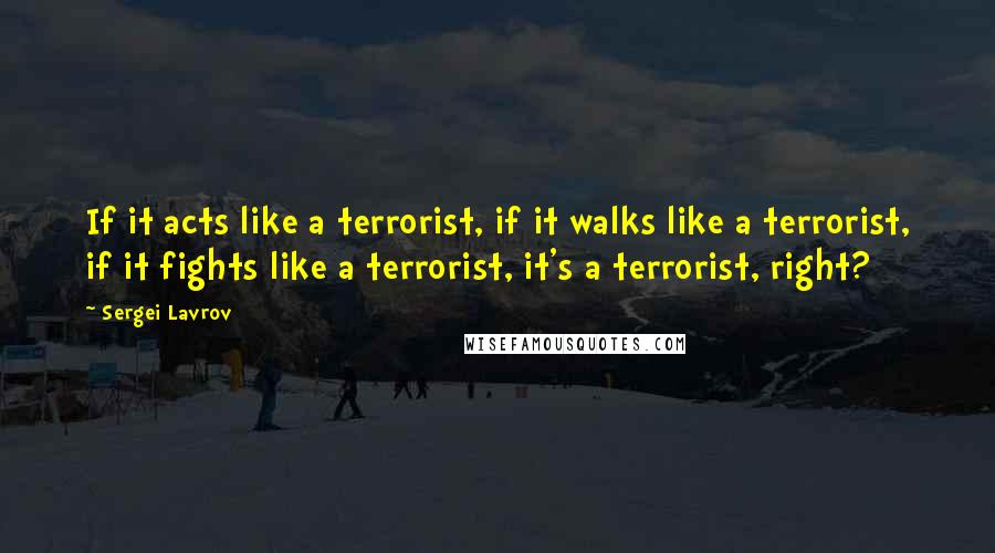 Sergei Lavrov Quotes: If it acts like a terrorist, if it walks like a terrorist, if it fights like a terrorist, it's a terrorist, right?