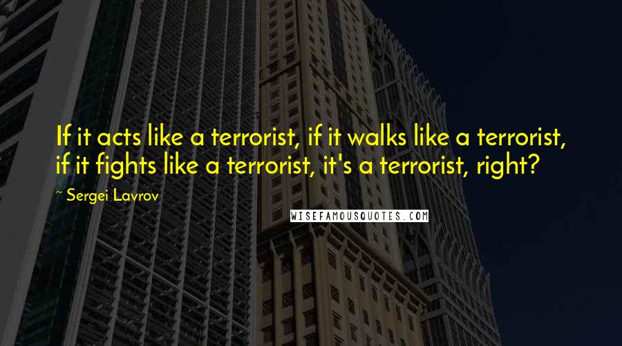 Sergei Lavrov Quotes: If it acts like a terrorist, if it walks like a terrorist, if it fights like a terrorist, it's a terrorist, right?