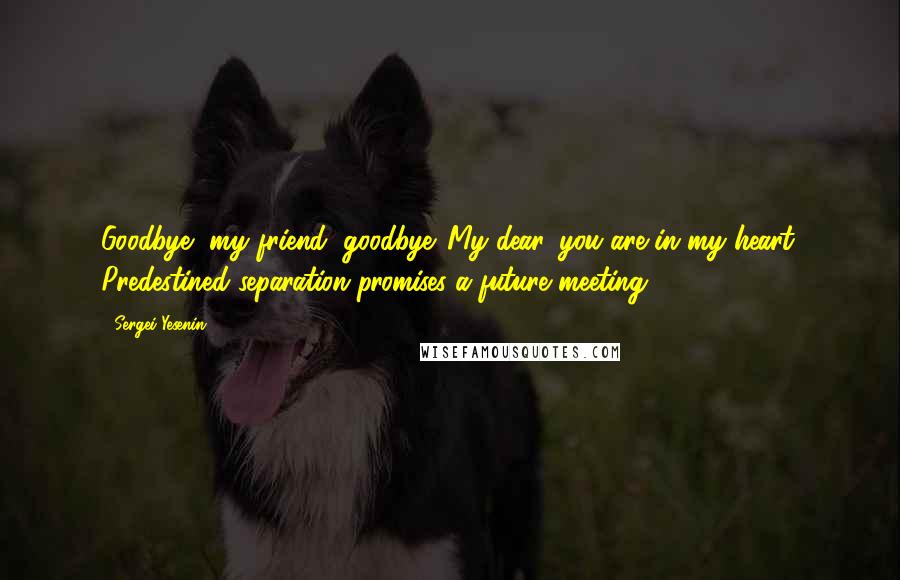 Sergei Yesenin Quotes: Goodbye, my friend, goodbye. My dear, you are in my heart. Predestined separation promises a future meeting.