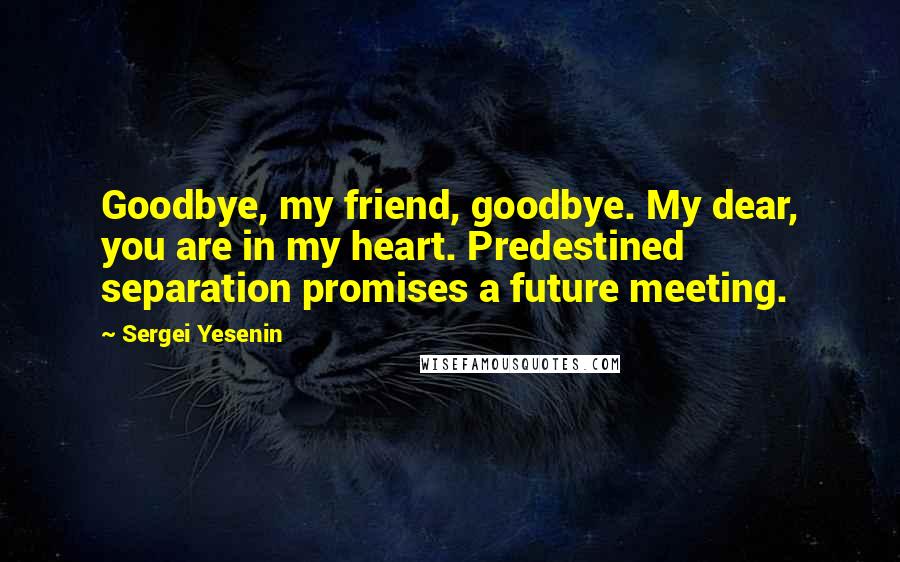 Sergei Yesenin Quotes: Goodbye, my friend, goodbye. My dear, you are in my heart. Predestined separation promises a future meeting.