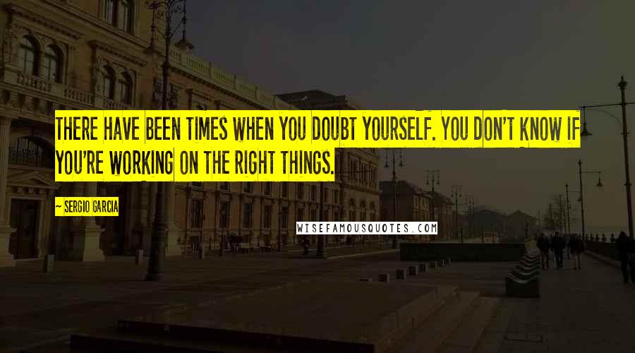 Sergio Garcia Quotes: There have been times when you doubt yourself. You don't know if you're working on the right things.