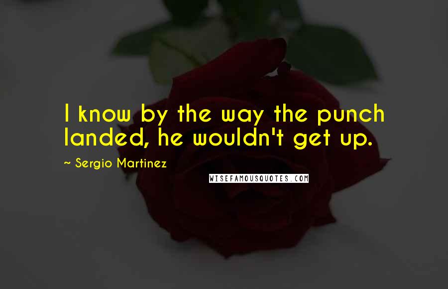 Sergio Martinez Quotes: I know by the way the punch landed, he wouldn't get up.