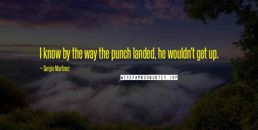 Sergio Martinez Quotes: I know by the way the punch landed, he wouldn't get up.