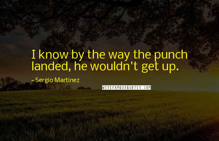 Sergio Martinez Quotes: I know by the way the punch landed, he wouldn't get up.