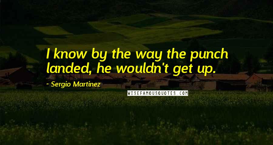 Sergio Martinez Quotes: I know by the way the punch landed, he wouldn't get up.