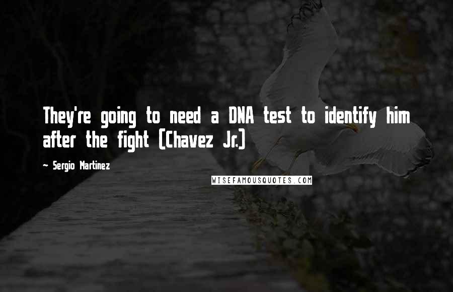 Sergio Martinez Quotes: They're going to need a DNA test to identify him after the fight (Chavez Jr.)