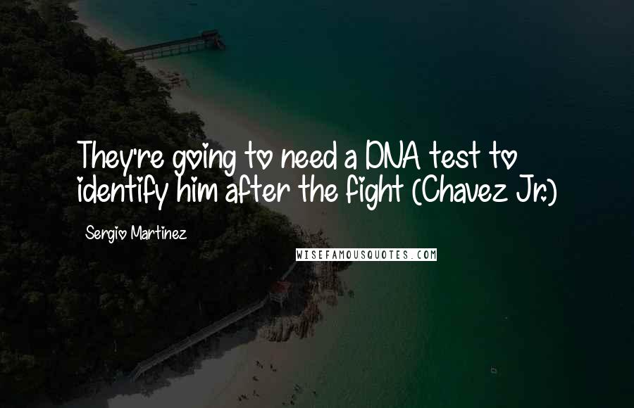 Sergio Martinez Quotes: They're going to need a DNA test to identify him after the fight (Chavez Jr.)