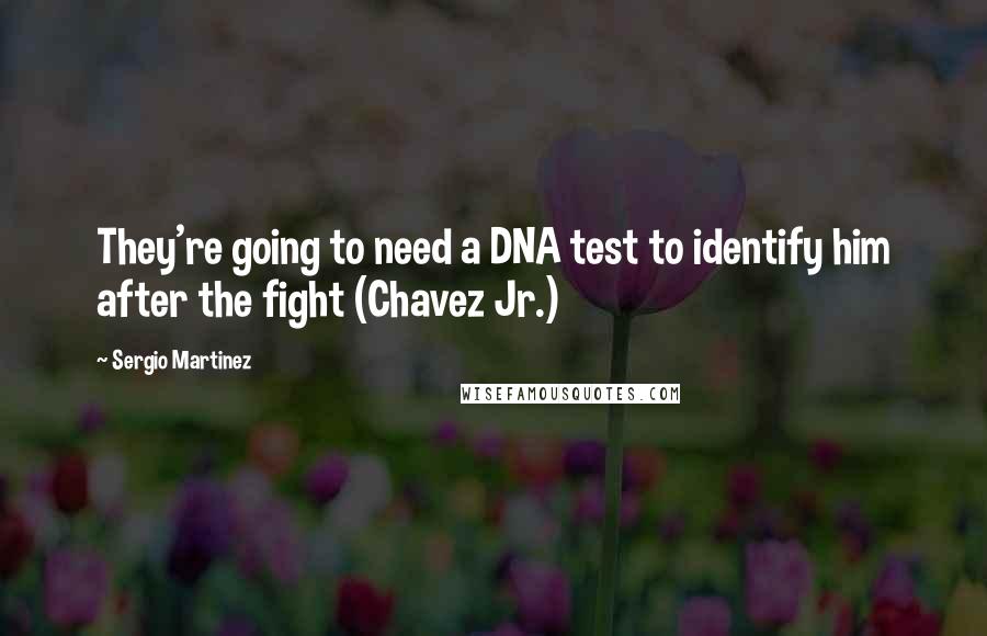 Sergio Martinez Quotes: They're going to need a DNA test to identify him after the fight (Chavez Jr.)