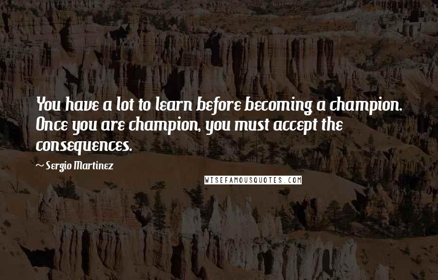 Sergio Martinez Quotes: You have a lot to learn before becoming a champion. Once you are champion, you must accept the consequences.