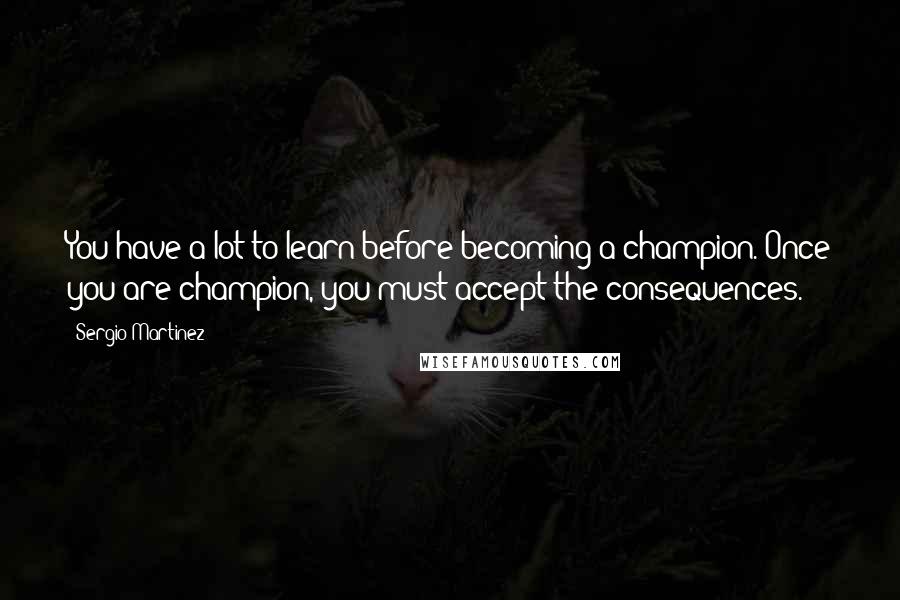 Sergio Martinez Quotes: You have a lot to learn before becoming a champion. Once you are champion, you must accept the consequences.