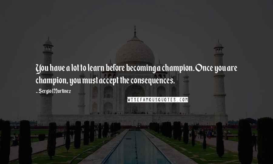 Sergio Martinez Quotes: You have a lot to learn before becoming a champion. Once you are champion, you must accept the consequences.