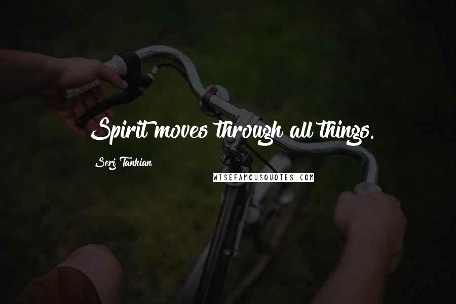 Serj Tankian Quotes: Spirit moves through all things.