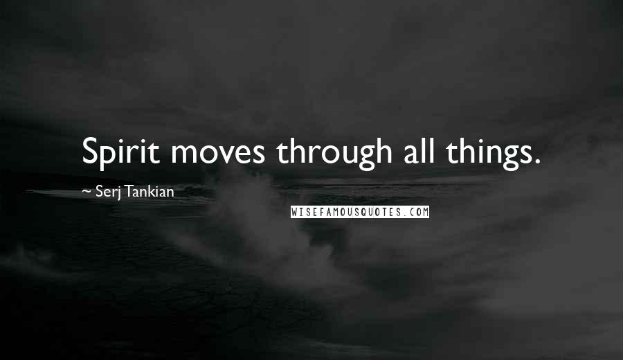Serj Tankian Quotes: Spirit moves through all things.