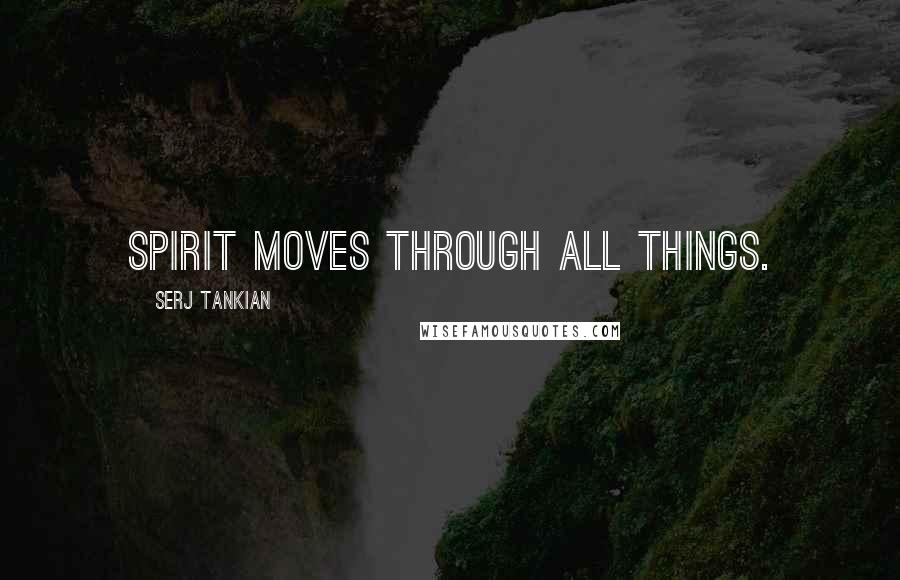 Serj Tankian Quotes: Spirit moves through all things.