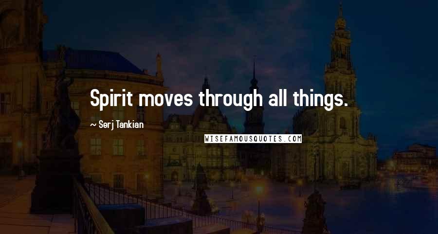 Serj Tankian Quotes: Spirit moves through all things.