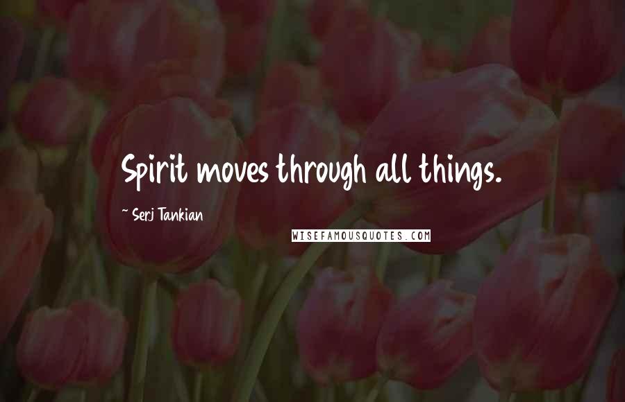 Serj Tankian Quotes: Spirit moves through all things.