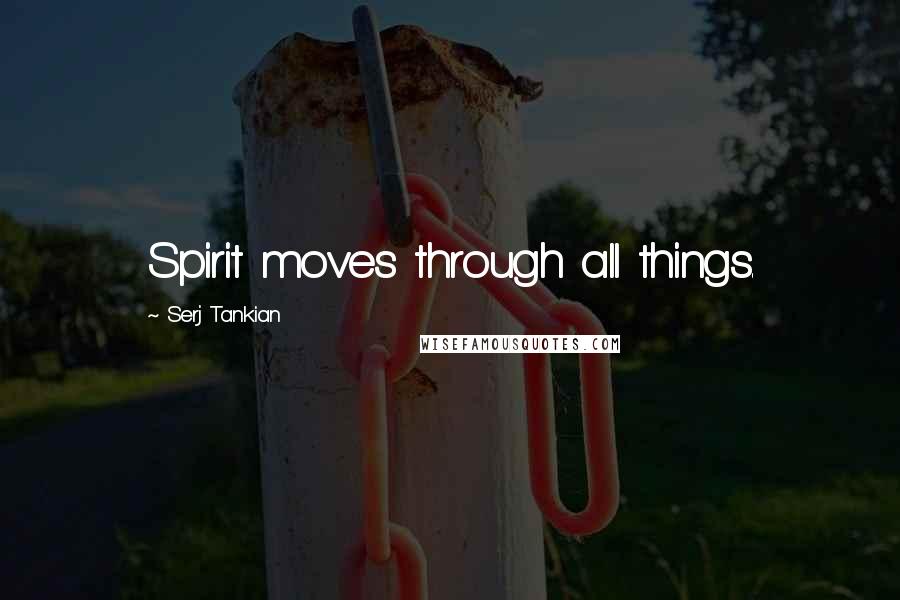 Serj Tankian Quotes: Spirit moves through all things.