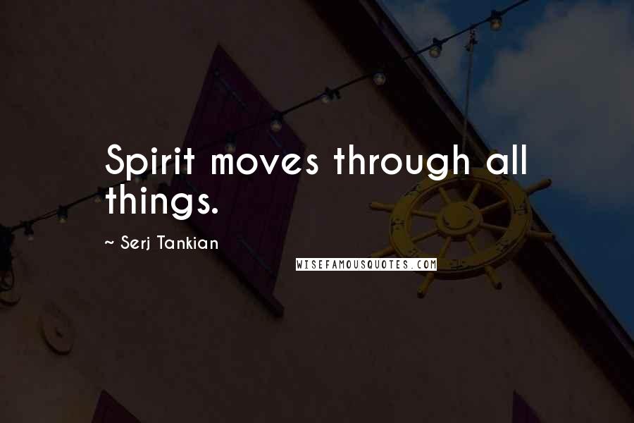 Serj Tankian Quotes: Spirit moves through all things.