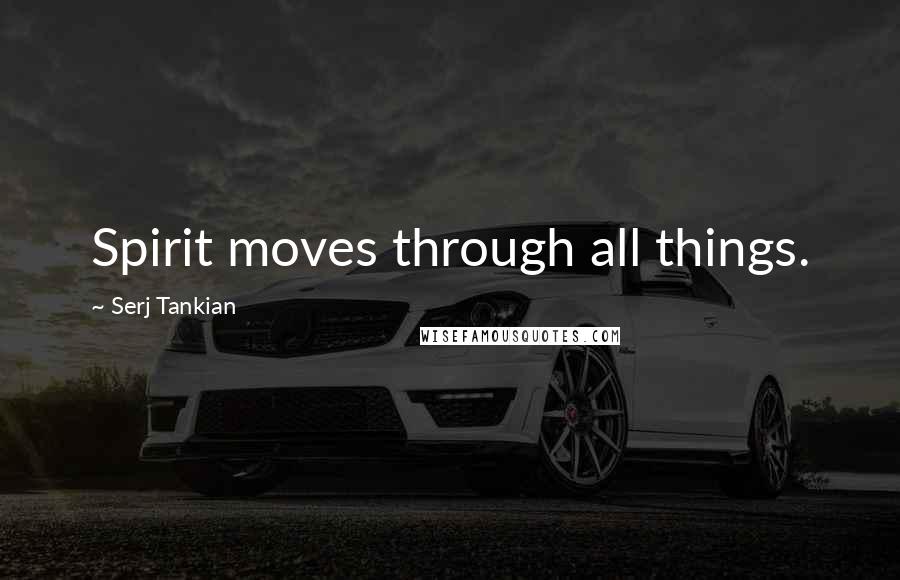 Serj Tankian Quotes: Spirit moves through all things.