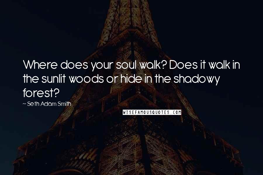 Seth Adam Smith Quotes: Where does your soul walk? Does it walk in the sunlit woods or hide in the shadowy forest?