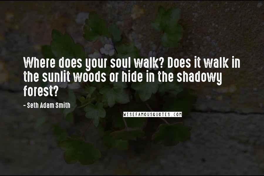 Seth Adam Smith Quotes: Where does your soul walk? Does it walk in the sunlit woods or hide in the shadowy forest?