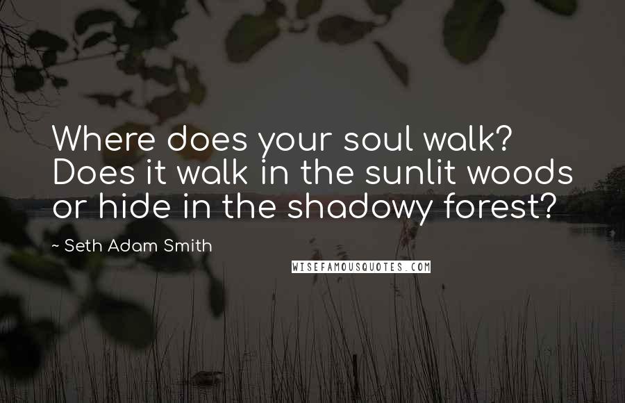 Seth Adam Smith Quotes: Where does your soul walk? Does it walk in the sunlit woods or hide in the shadowy forest?