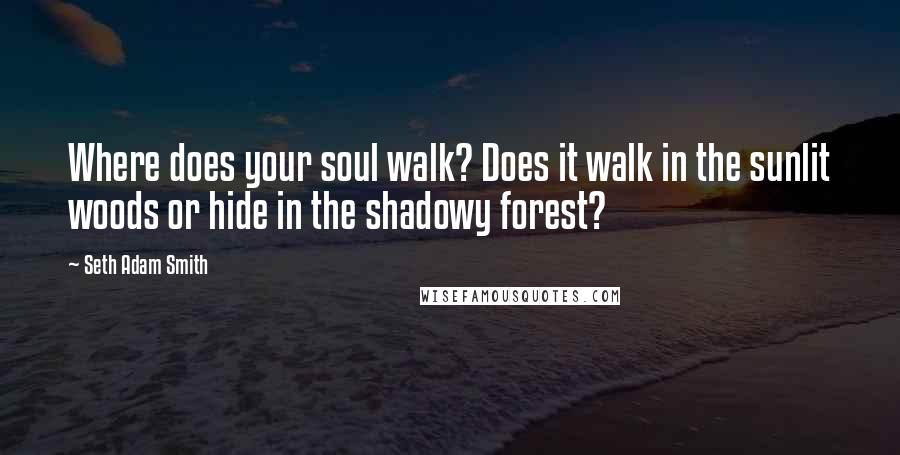 Seth Adam Smith Quotes: Where does your soul walk? Does it walk in the sunlit woods or hide in the shadowy forest?