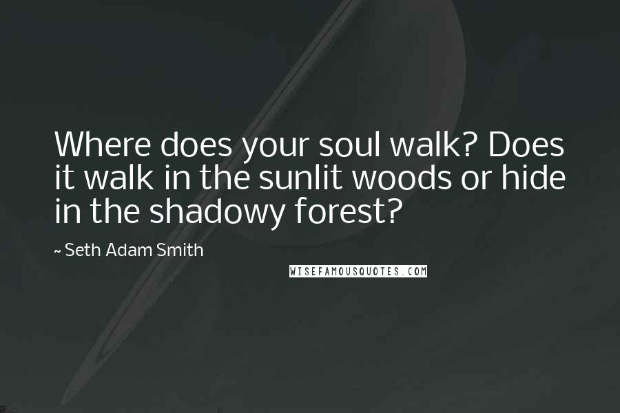 Seth Adam Smith Quotes: Where does your soul walk? Does it walk in the sunlit woods or hide in the shadowy forest?