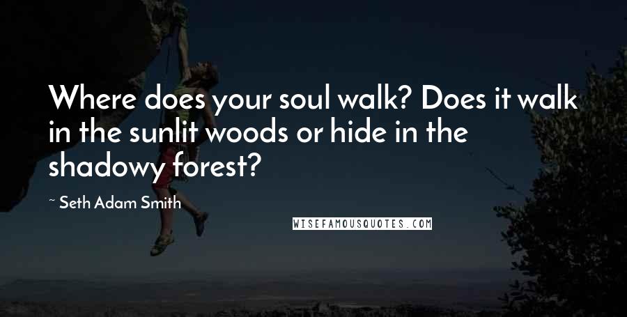 Seth Adam Smith Quotes: Where does your soul walk? Does it walk in the sunlit woods or hide in the shadowy forest?