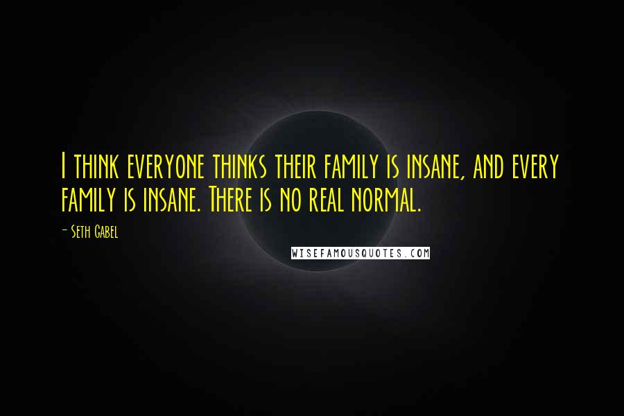Seth Gabel Quotes: I think everyone thinks their family is insane, and every family is insane. There is no real normal.