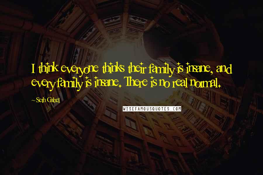 Seth Gabel Quotes: I think everyone thinks their family is insane, and every family is insane. There is no real normal.