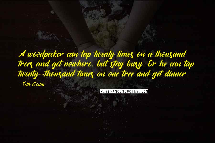 Seth Godin Quotes: A woodpecker can tap twenty times on a thousand trees and get nowhere, but stay busy. Or he can tap twenty-thousand times on one tree and get dinner.