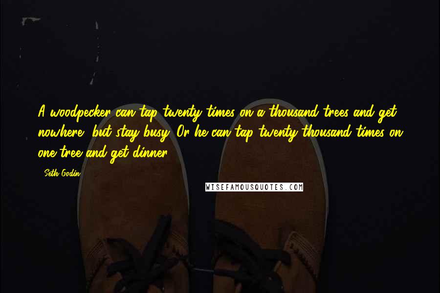 Seth Godin Quotes: A woodpecker can tap twenty times on a thousand trees and get nowhere, but stay busy. Or he can tap twenty-thousand times on one tree and get dinner.