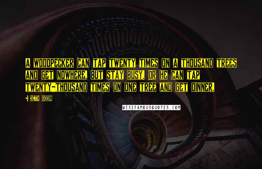 Seth Godin Quotes: A woodpecker can tap twenty times on a thousand trees and get nowhere, but stay busy. Or he can tap twenty-thousand times on one tree and get dinner.