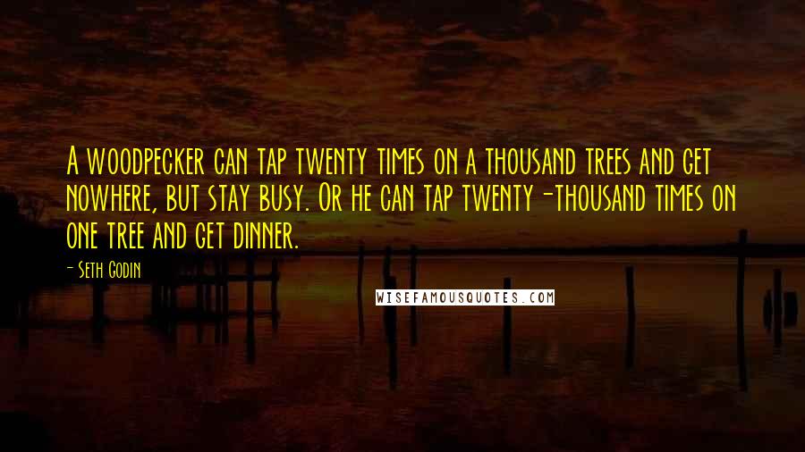 Seth Godin Quotes: A woodpecker can tap twenty times on a thousand trees and get nowhere, but stay busy. Or he can tap twenty-thousand times on one tree and get dinner.