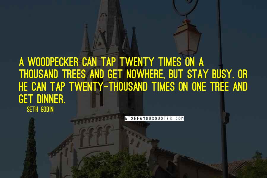 Seth Godin Quotes: A woodpecker can tap twenty times on a thousand trees and get nowhere, but stay busy. Or he can tap twenty-thousand times on one tree and get dinner.