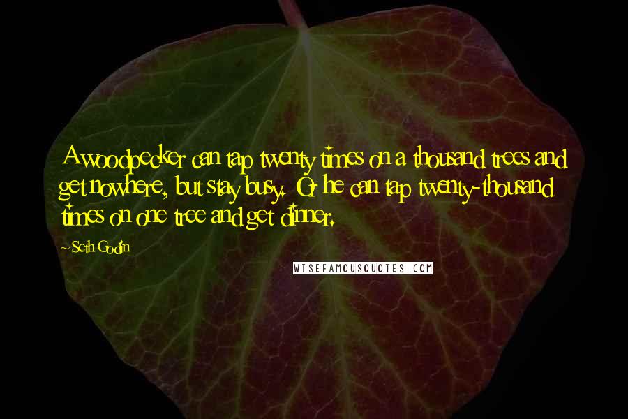 Seth Godin Quotes: A woodpecker can tap twenty times on a thousand trees and get nowhere, but stay busy. Or he can tap twenty-thousand times on one tree and get dinner.