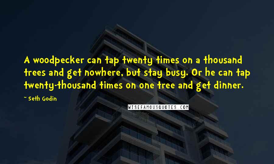 Seth Godin Quotes: A woodpecker can tap twenty times on a thousand trees and get nowhere, but stay busy. Or he can tap twenty-thousand times on one tree and get dinner.