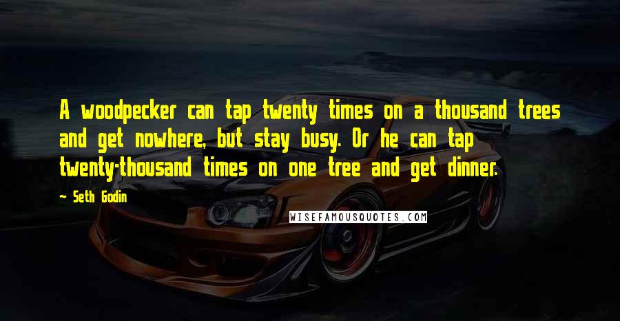 Seth Godin Quotes: A woodpecker can tap twenty times on a thousand trees and get nowhere, but stay busy. Or he can tap twenty-thousand times on one tree and get dinner.