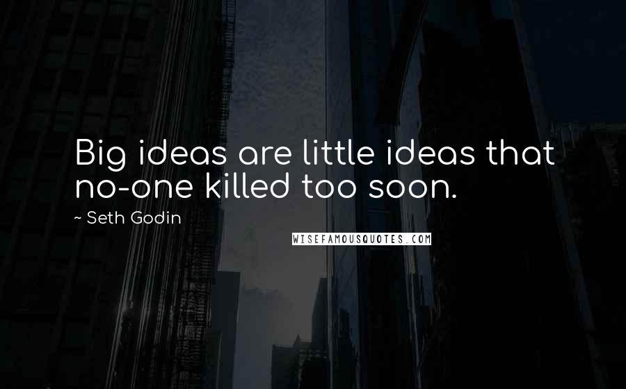 Seth Godin Quotes: Big ideas are little ideas that no-one killed too soon.