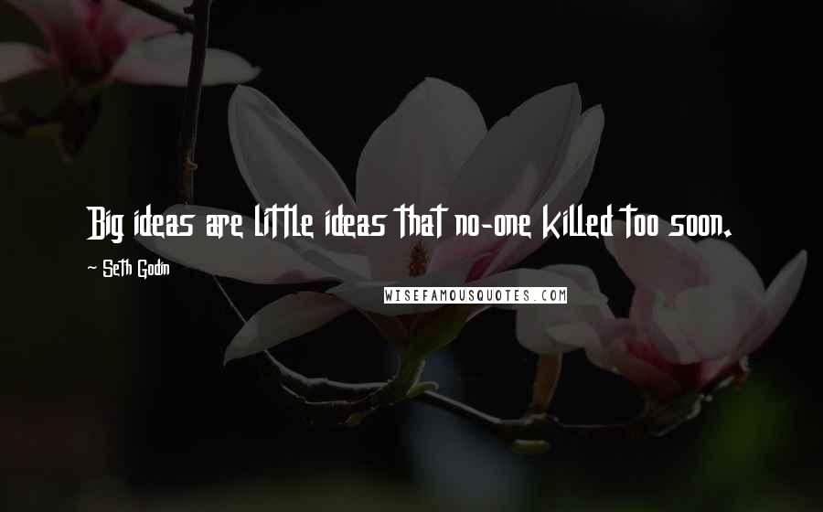 Seth Godin Quotes: Big ideas are little ideas that no-one killed too soon.
