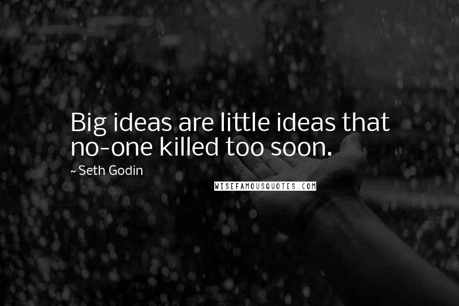 Seth Godin Quotes: Big ideas are little ideas that no-one killed too soon.