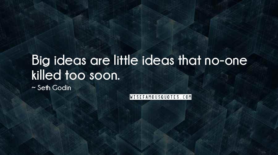 Seth Godin Quotes: Big ideas are little ideas that no-one killed too soon.