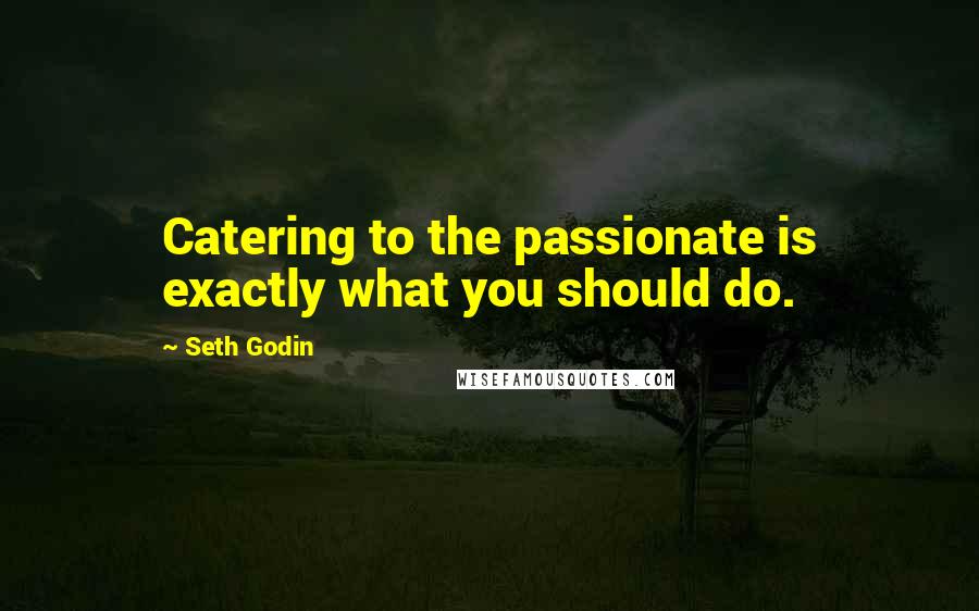 Seth Godin Quotes: Catering to the passionate is exactly what you should do.