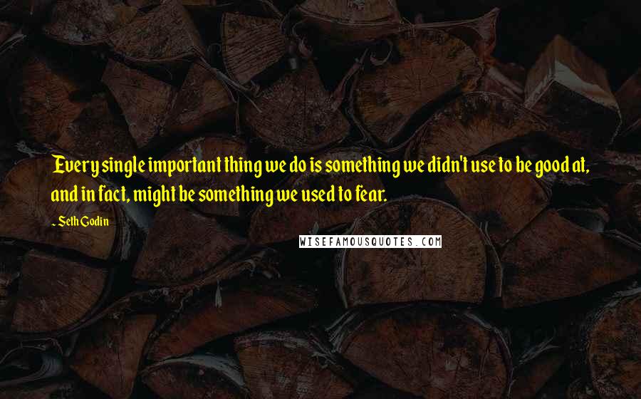 Seth Godin Quotes: Every single important thing we do is something we didn't use to be good at, and in fact, might be something we used to fear.