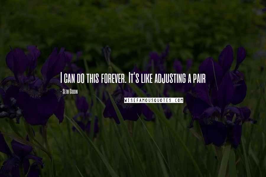 Seth Godin Quotes: I can do this forever. It's like adjusting a pair