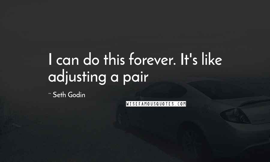 Seth Godin Quotes: I can do this forever. It's like adjusting a pair