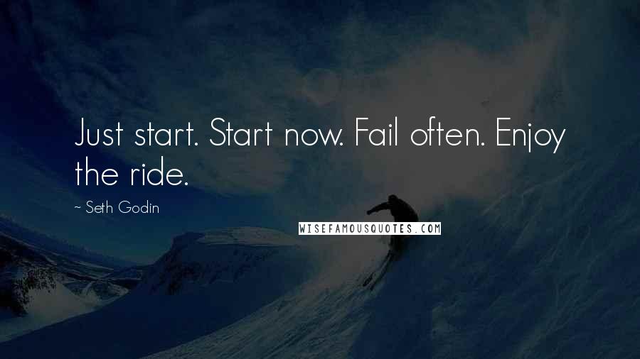 Seth Godin Quotes: Just start. Start now. Fail often. Enjoy the ride.