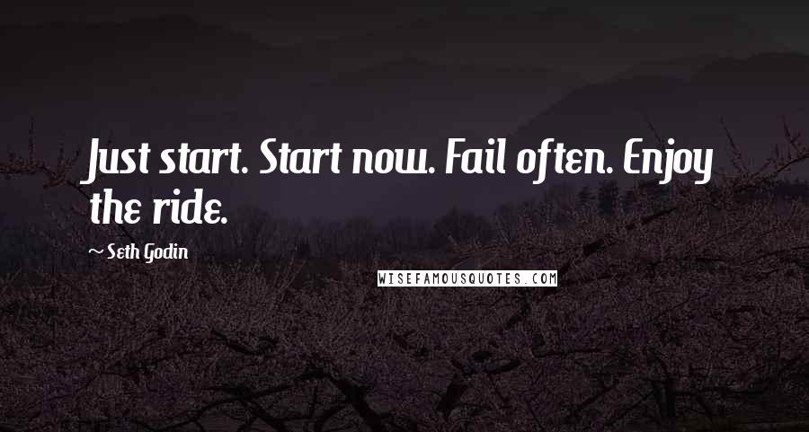 Seth Godin Quotes: Just start. Start now. Fail often. Enjoy the ride.